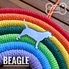 Beagle Rainbow Bridge Gift